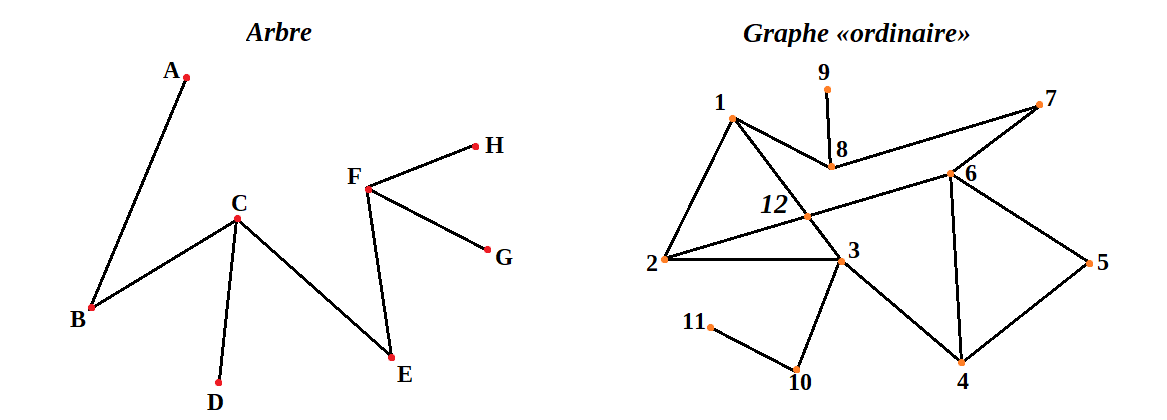 Comparaison entre un arbre (sans cycle possible) et un graphe ordinaire (avec plusieurs cycles possibles)