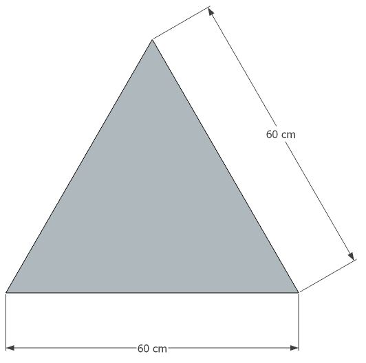 Triangle équilatéral de côté 60cm formant la base du prisme