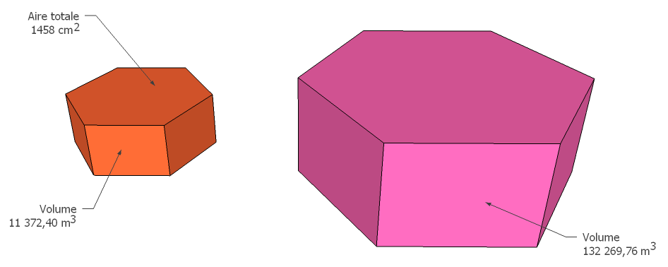 Solide orange (aire totale 1458 cm2, volume 11 372,40) et solide rose semblable (volume 132 269,76)